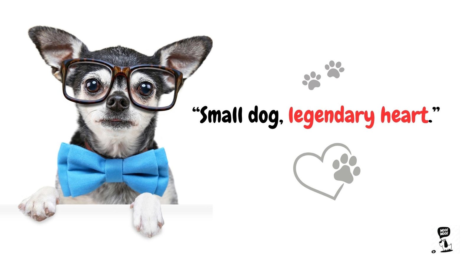 Short Famous Dog Quotes for Captions