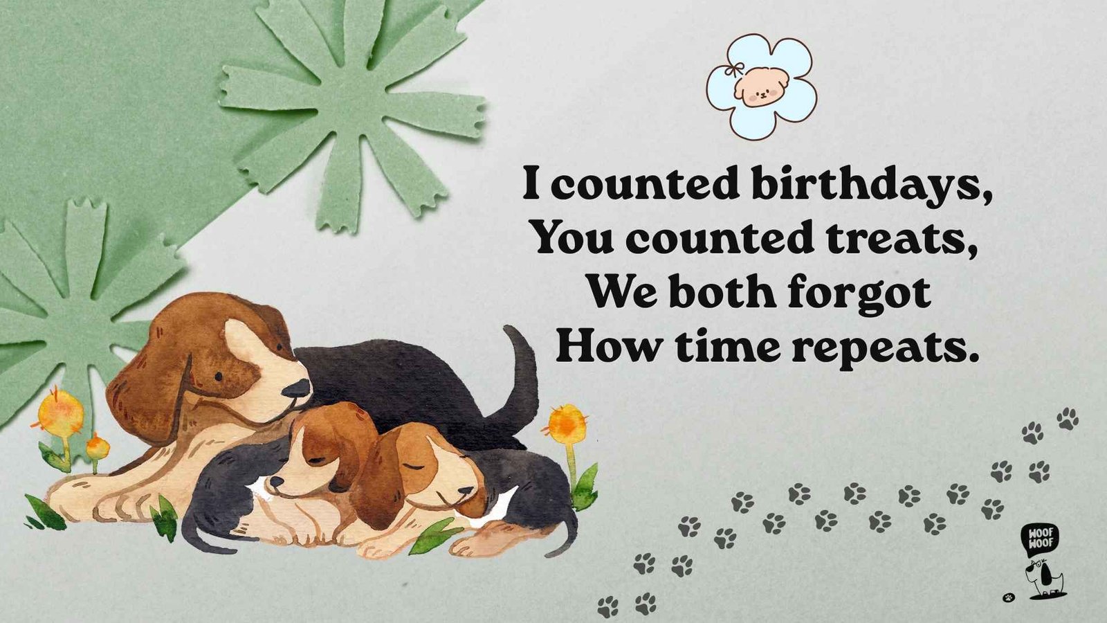 Short Poems About Dogs' Short Lives