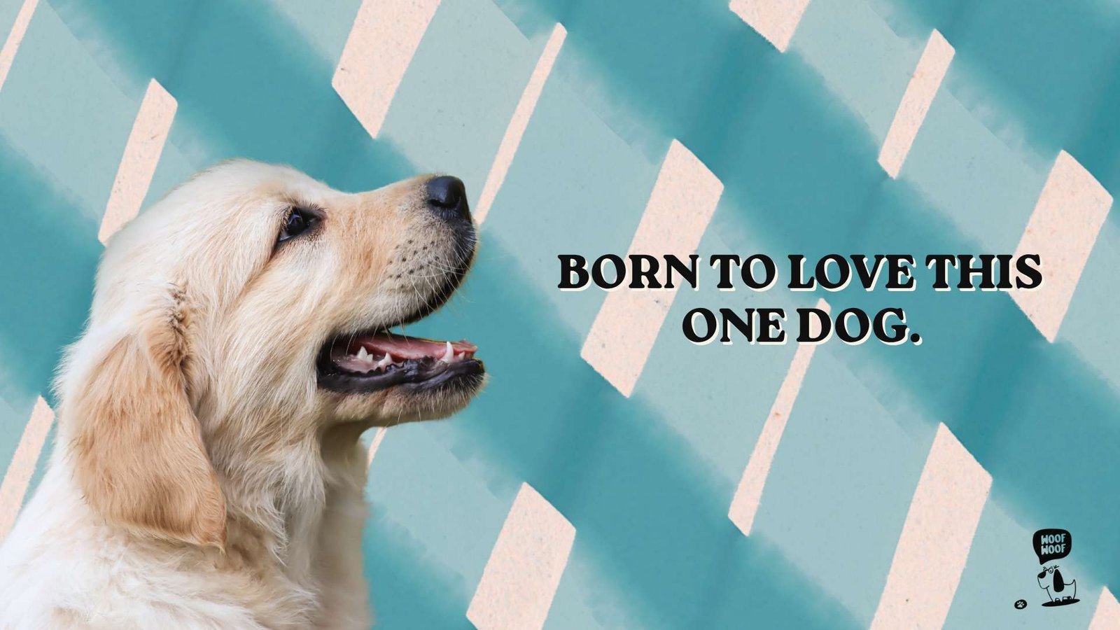 Short Soulmate Dog Quotes & Captions