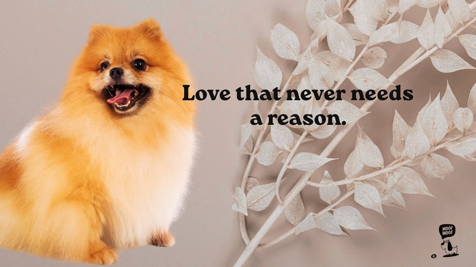 Short Touching Dog Quotes