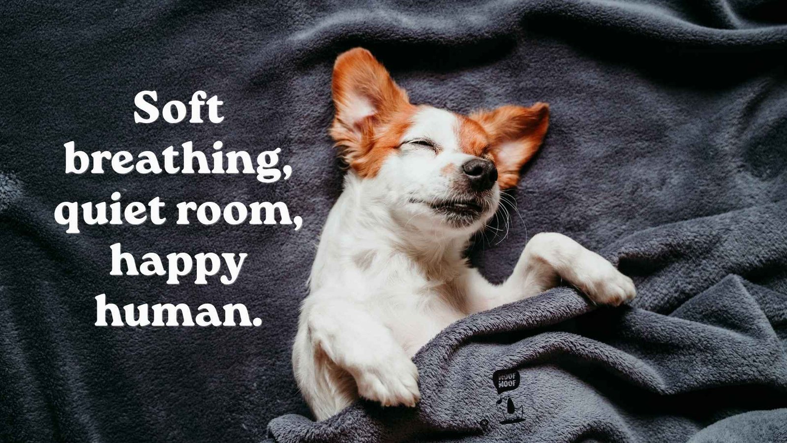 Sleepy and Cuddly Cute Dog Captions