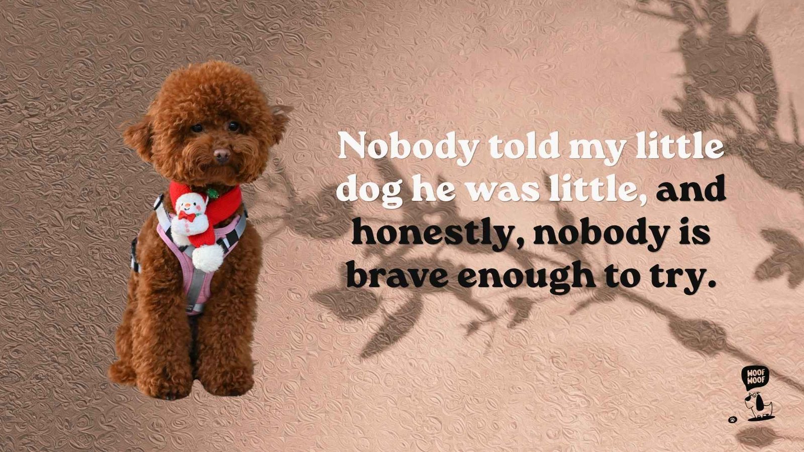 Small Dog, Big Personality Quotes