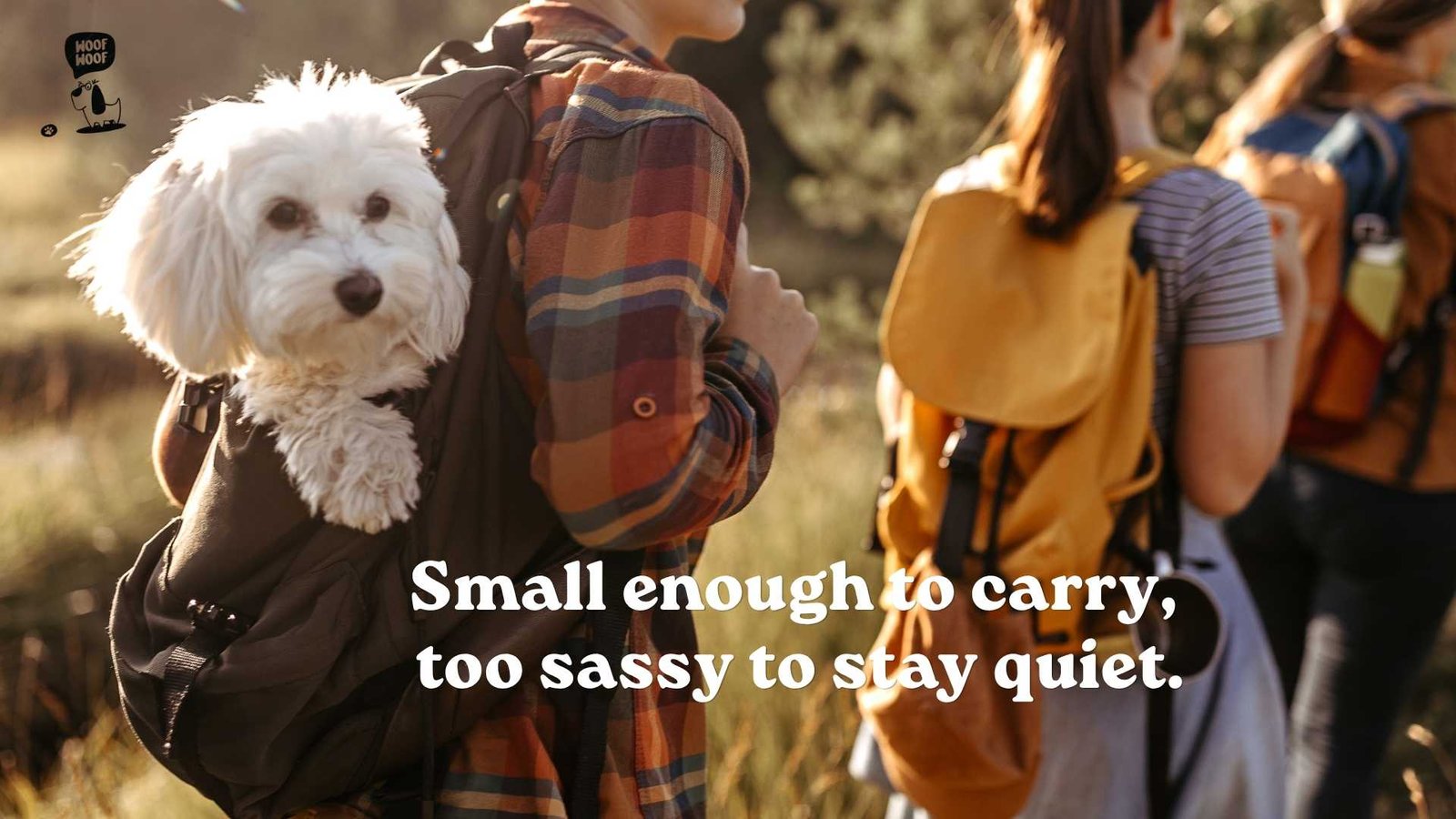 Small Dog Captions for Instagram
