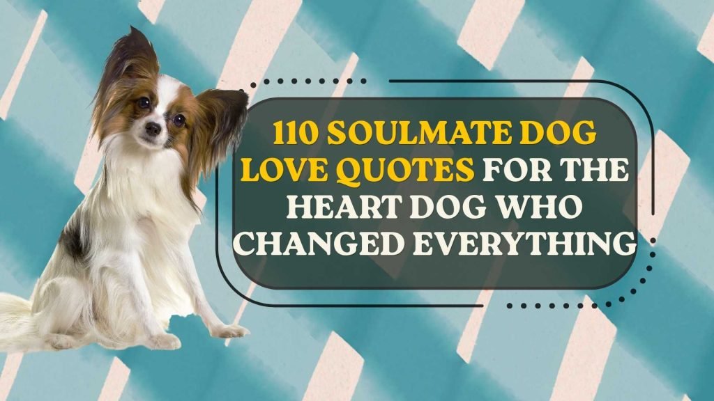 Soulmate Dog Love Quotes