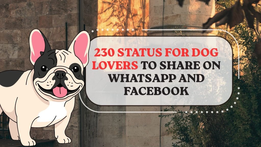 Status for Dog Lovers to Share on WhatsApp and Facebook