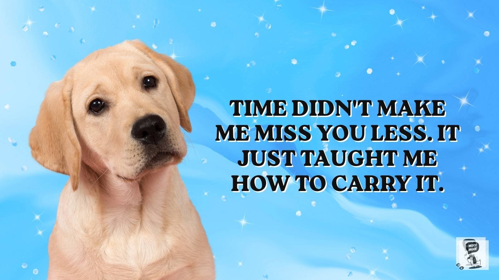 Still Missing Your Dog Quotes