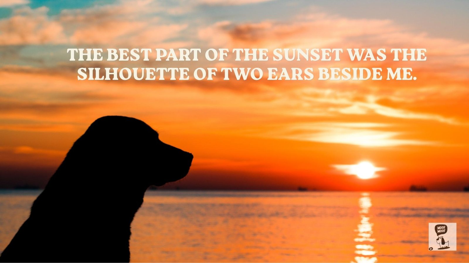 Sunset and Dog Quotes