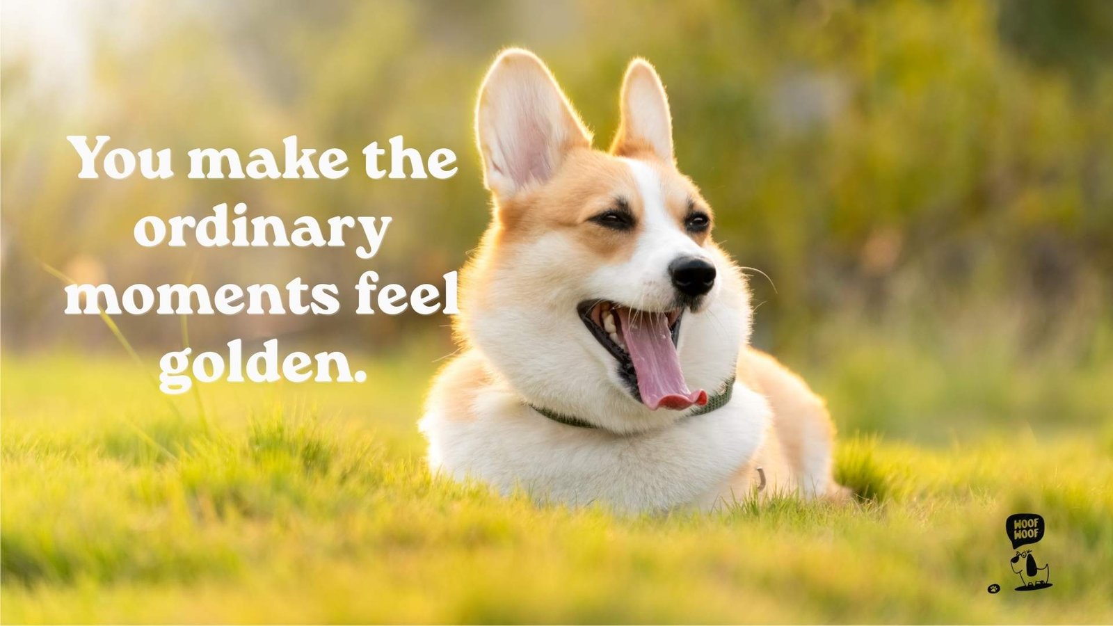 Sweet Dog Captions for Heartwarming Posts