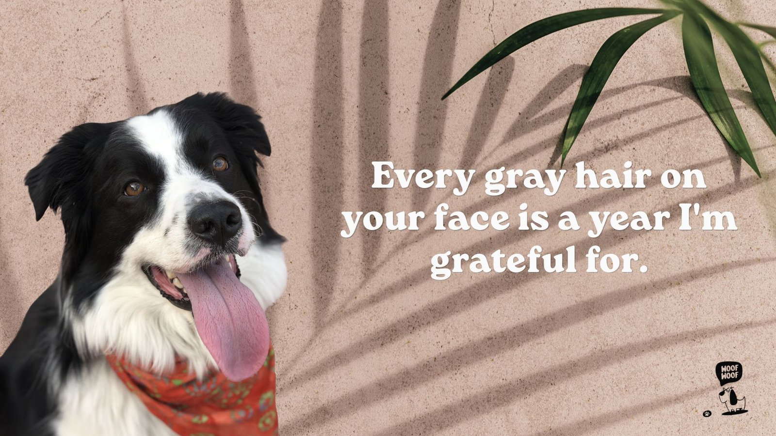 Sweet and Sentimental Dog Love Captions