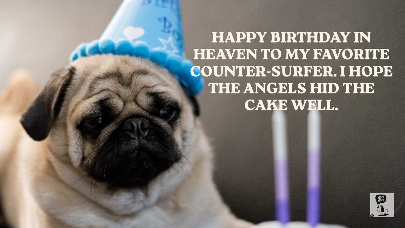 Sweet and Smiling Birthday Wishes for a Dog in Heaven