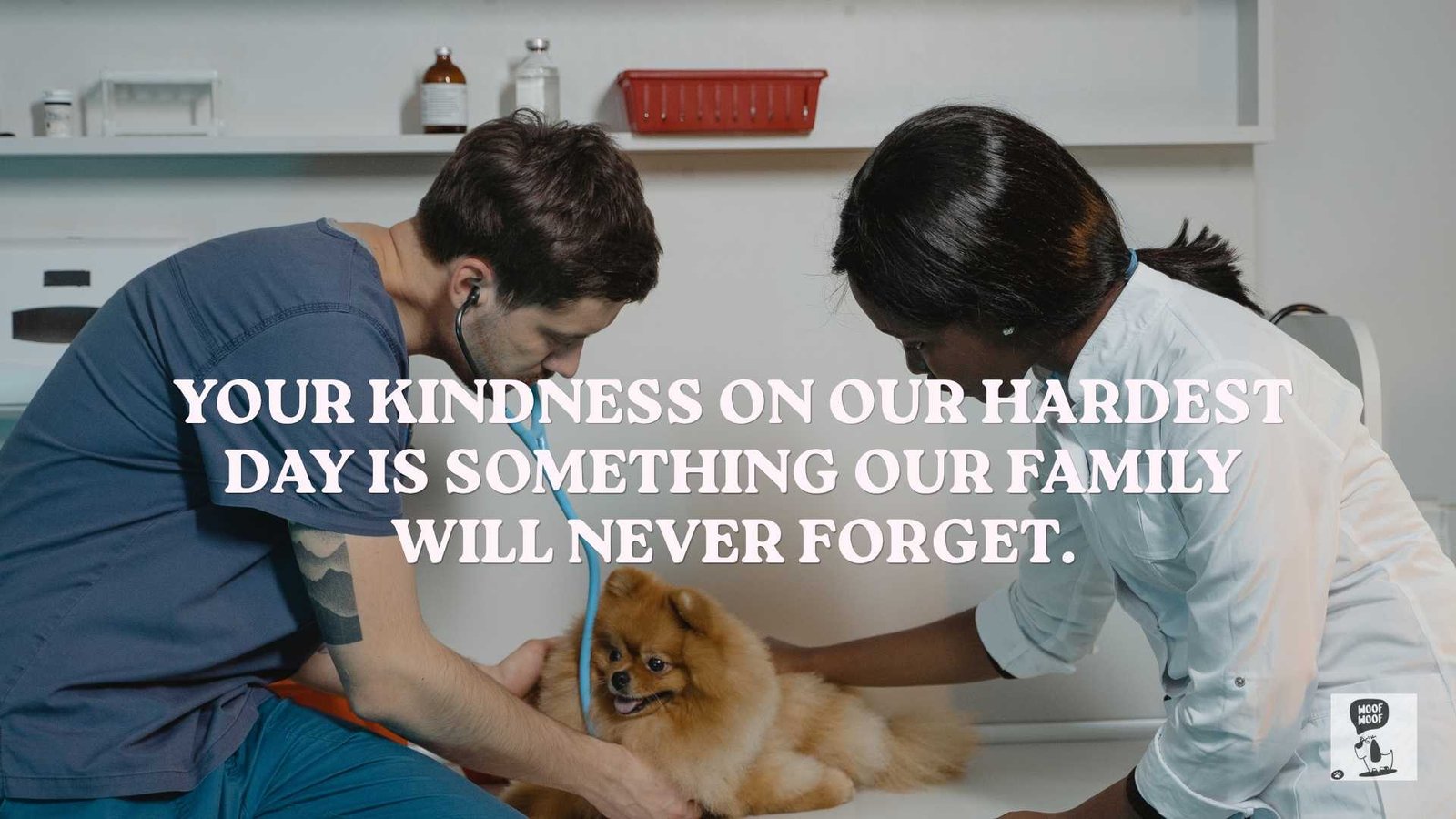 Thank-You Words for the Vet Team
