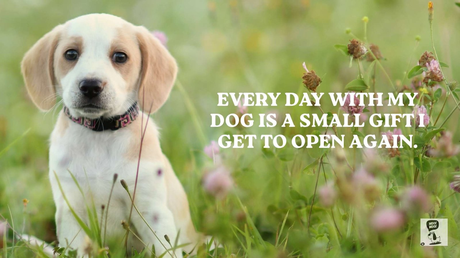 Thankful for My Dog Quotes