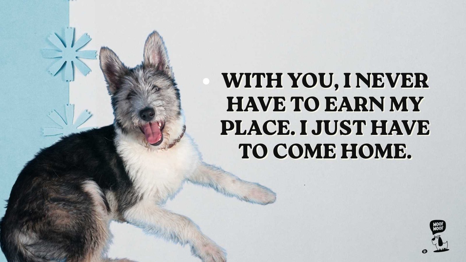 Things to Tell Your Heart Dog