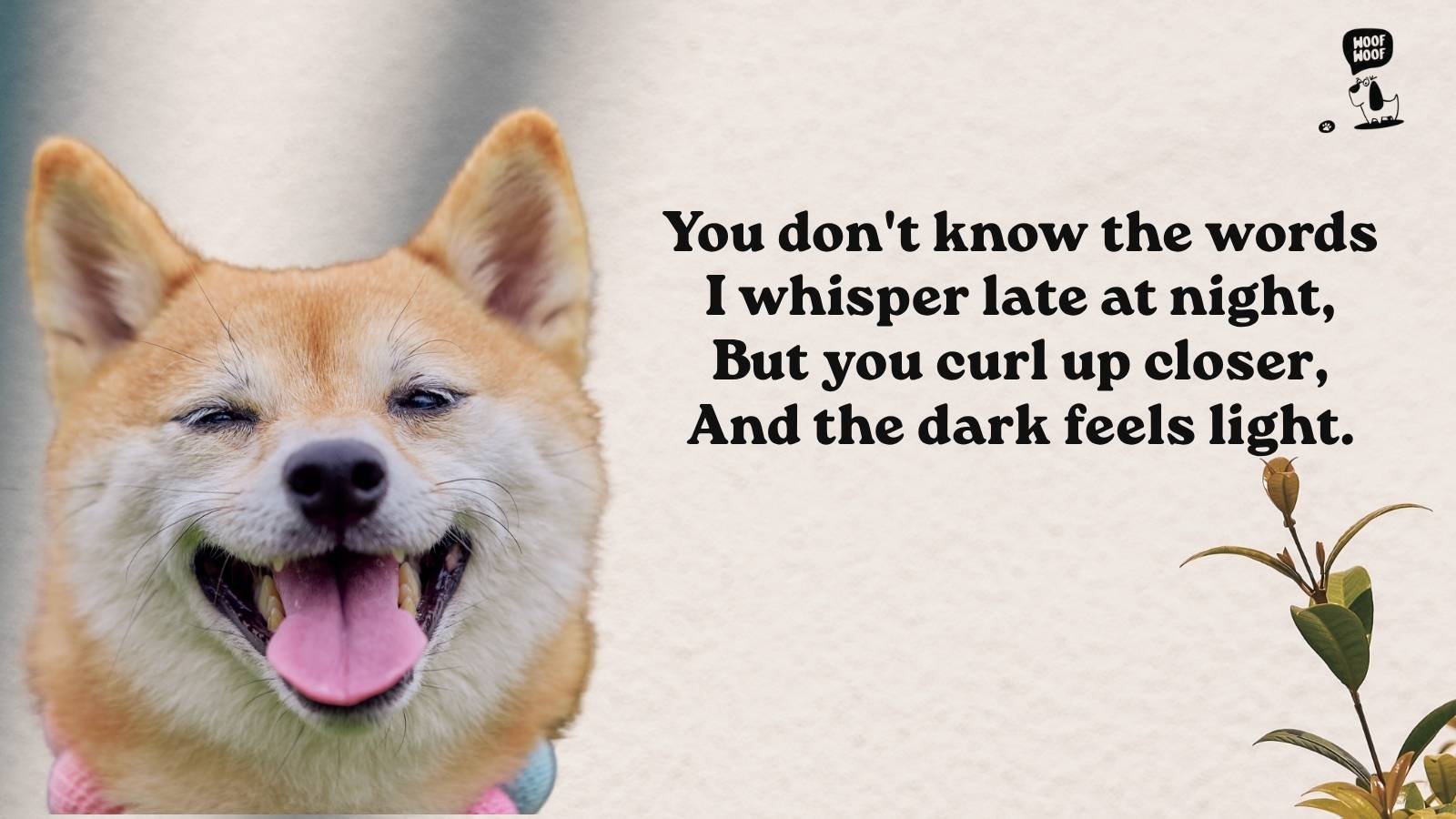Tiny Touching Dog Poems