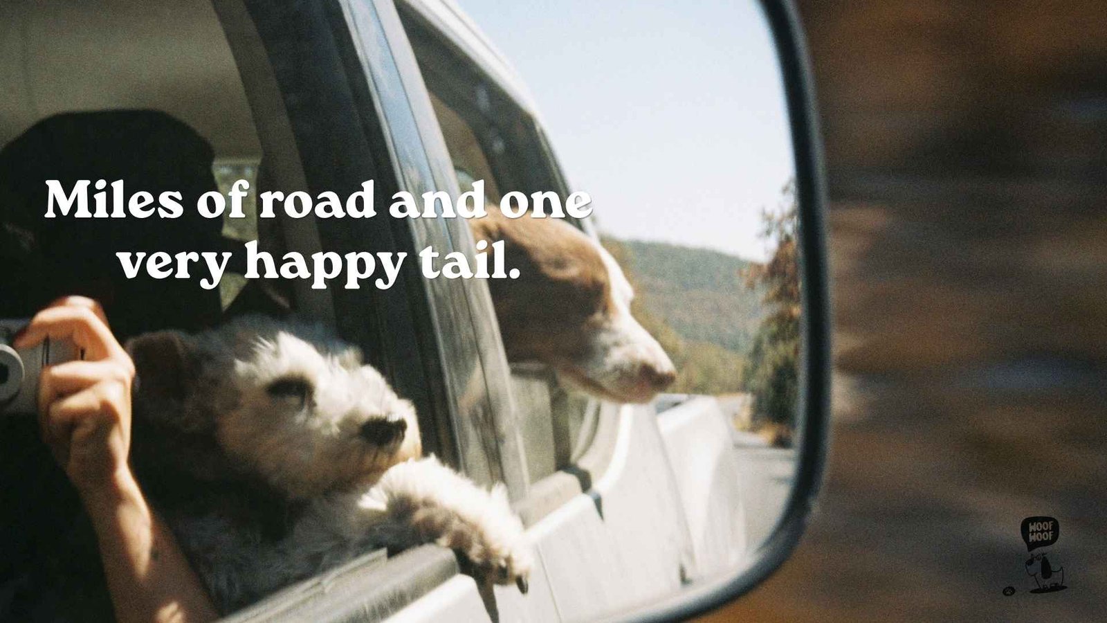 Travel and Road Trip Captions With My Dog