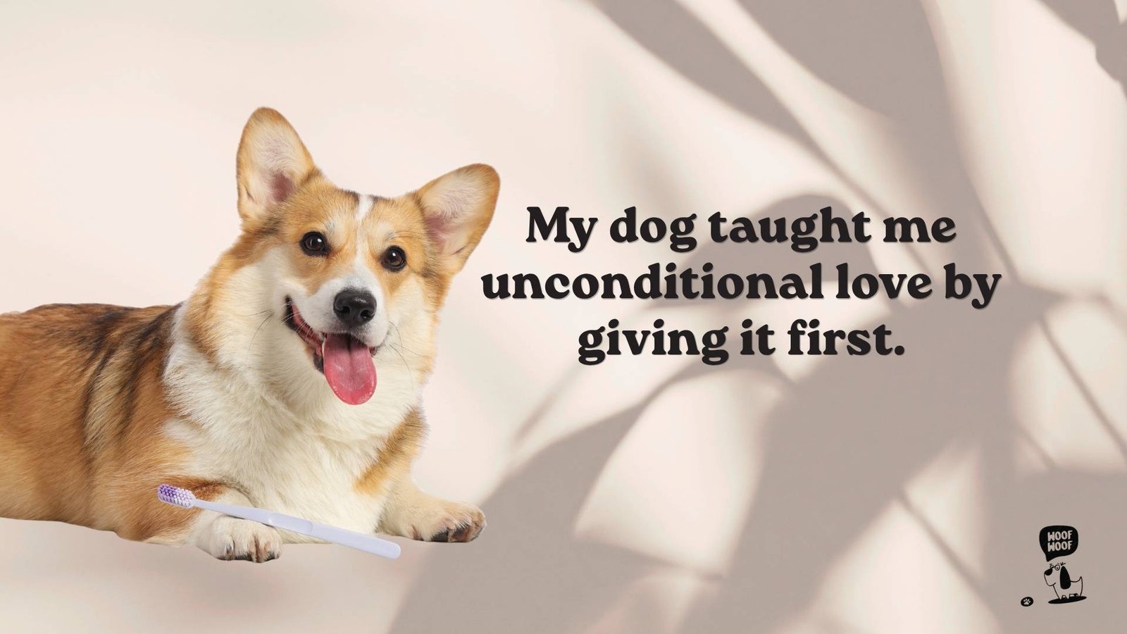 Unconditional Love for Dogs Quotes