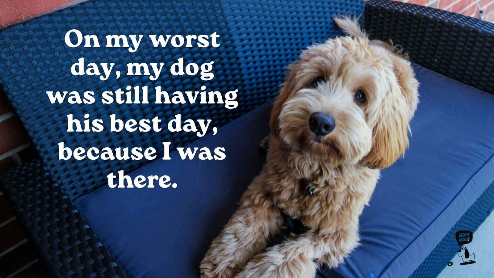 Unconditional Love of Dogs Quotes for Your Worst Days
