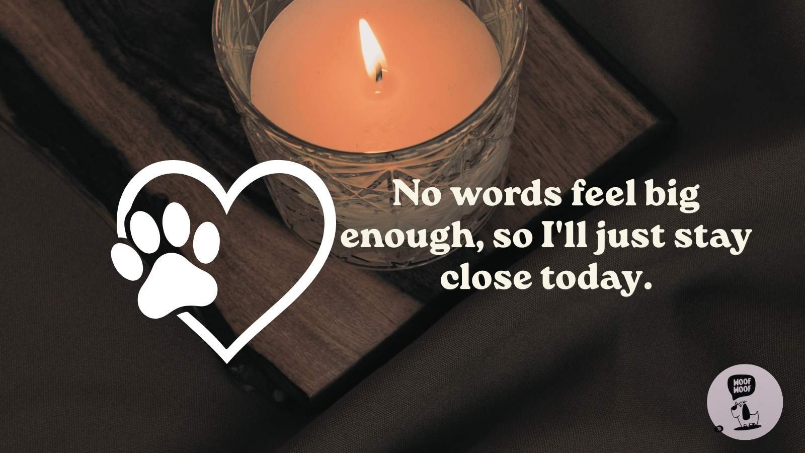 What Guests Can Say at a Dog Funeral