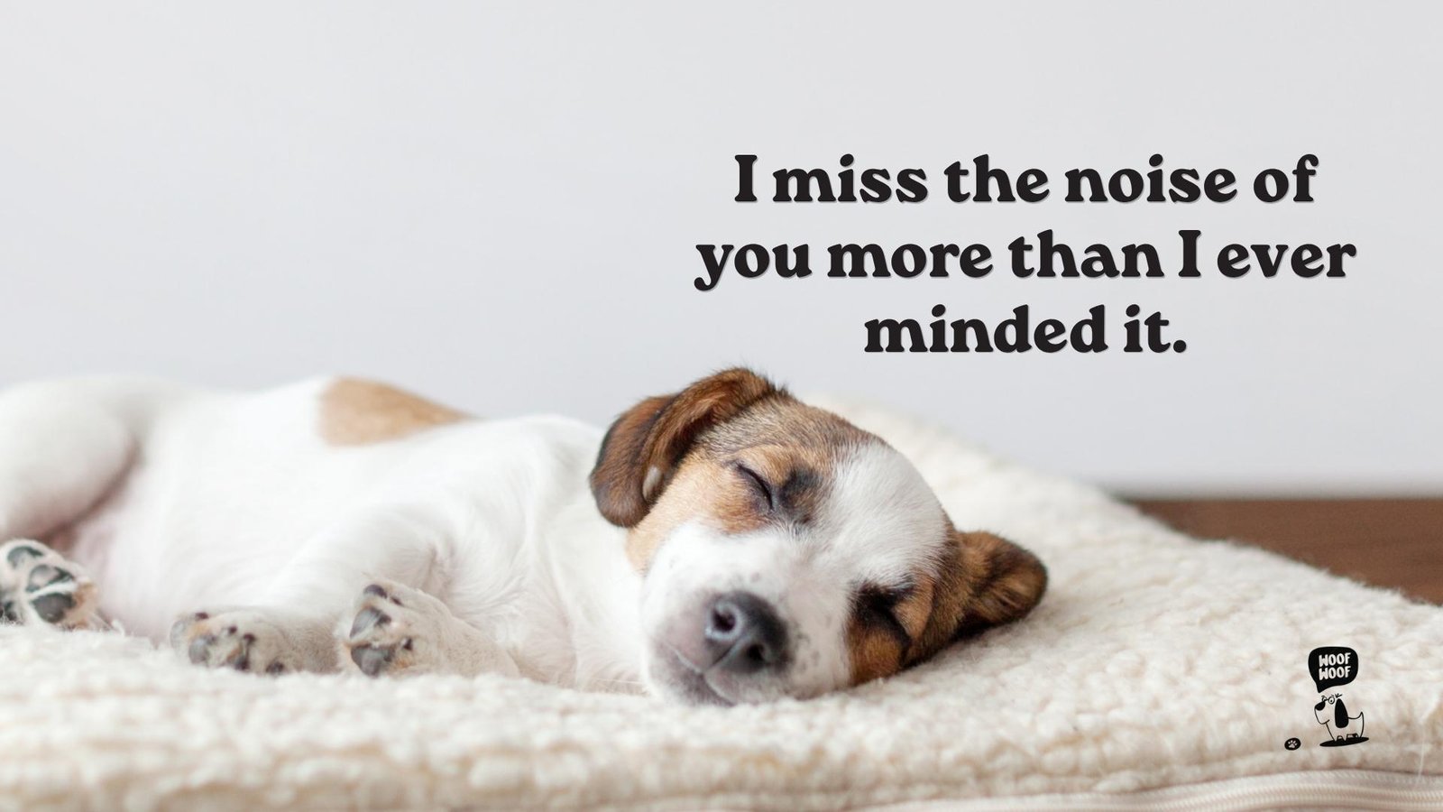 When a Sudden Illness Took Your Dog