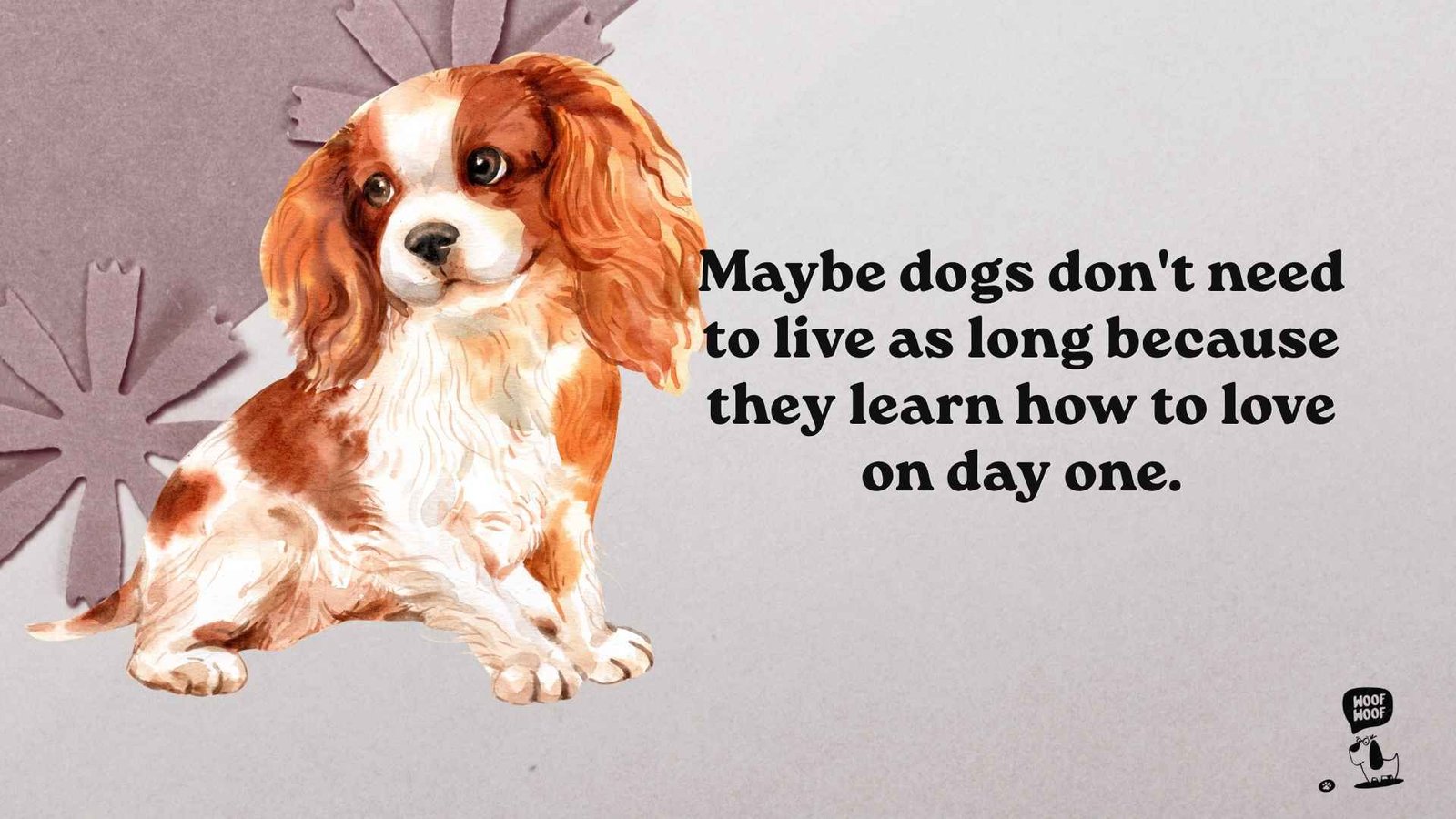 Why Dogs Don't Need to Live as Long