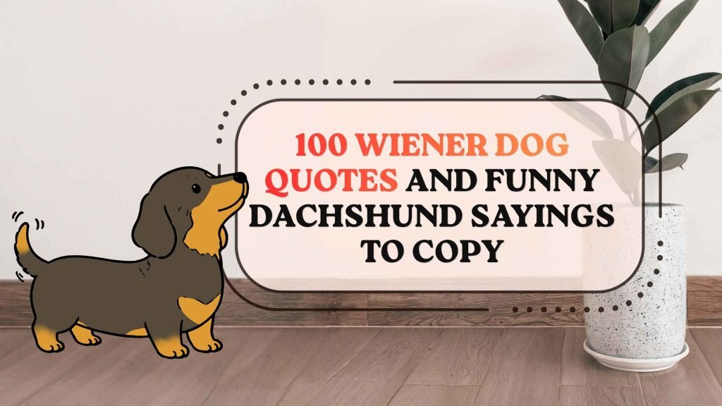 Wiener Dog Quotes and Funny Dachshund Sayings to Copy
