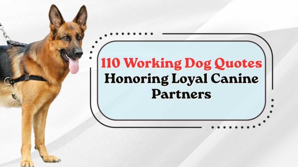 Working Dog Quotes
